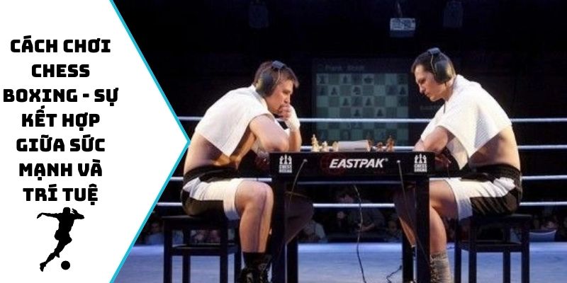 Cách chơi Chess Boxing - sự kết hợp giữa sức mạnh và trí tuệ